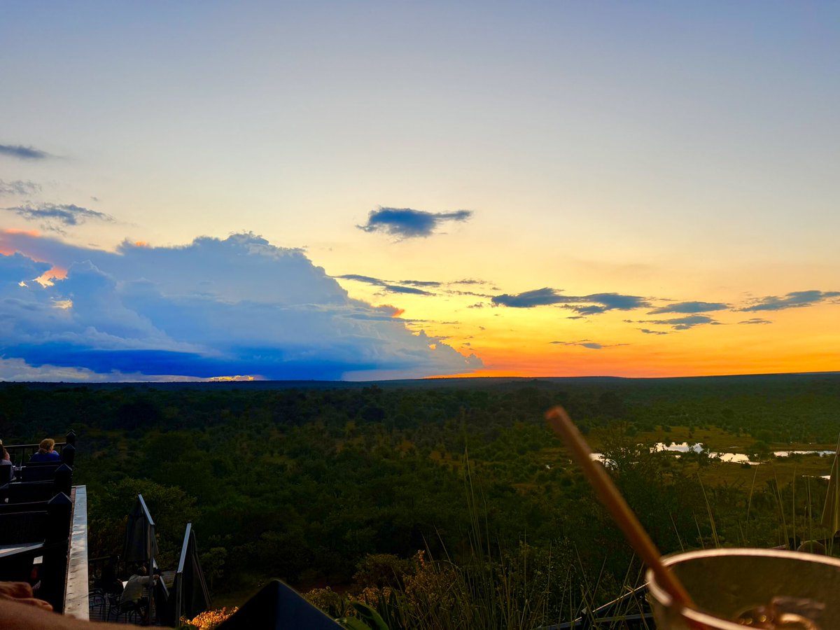 Dr. Yvonne Maphosa tweet media