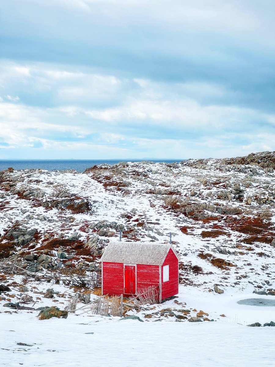 🇨🇦 tweet media