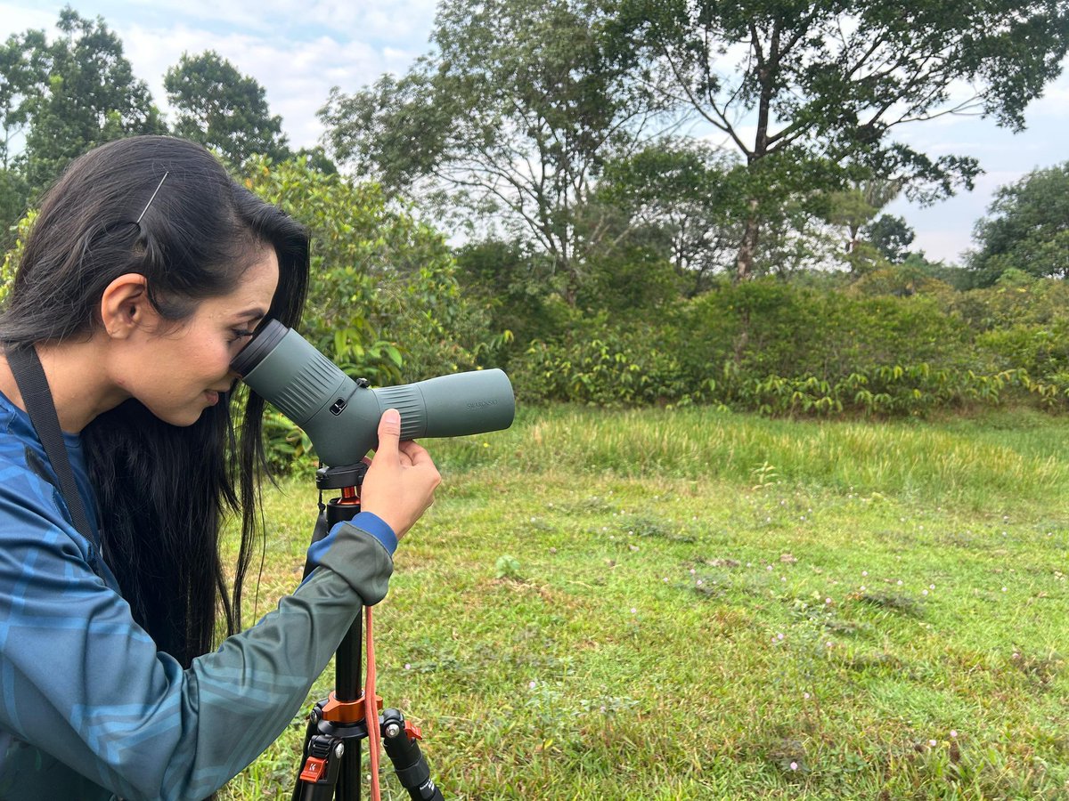 Cormacarena tweet media