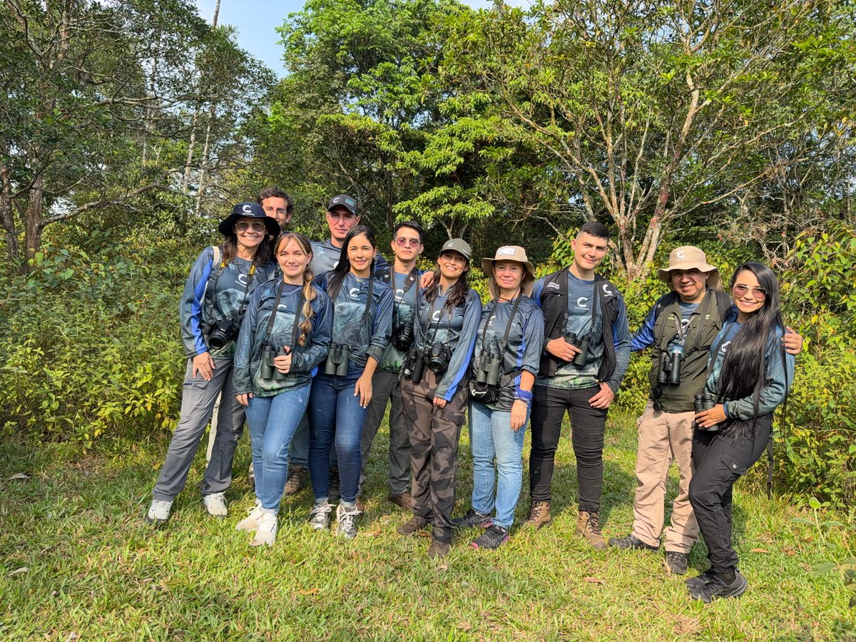 Cormacarena tweet media