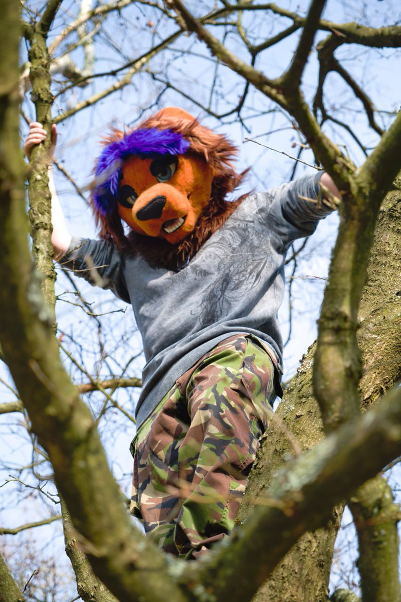 Setcho! 🔜 Animalz tweet media