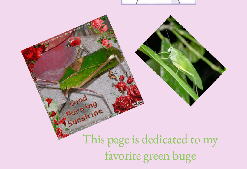 liquid faust tweet media