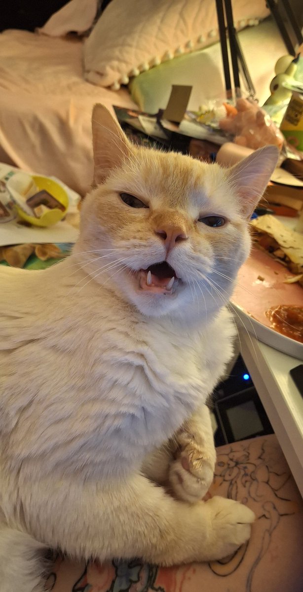 baby dog tweet media