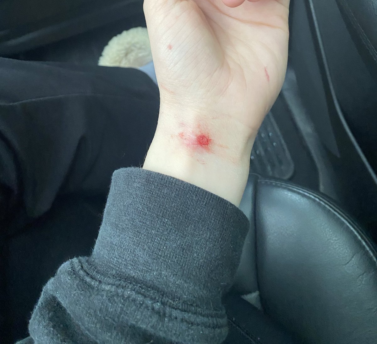 tonia 🫐 tweet media