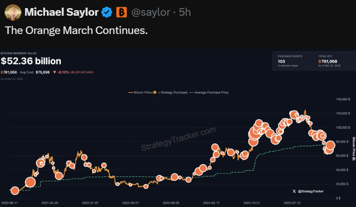 Muhammad Musa tweet media
