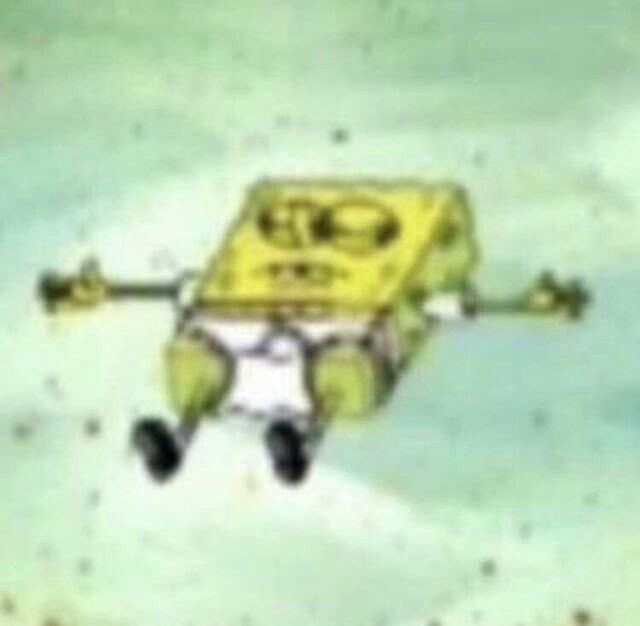 sandrona tweet media