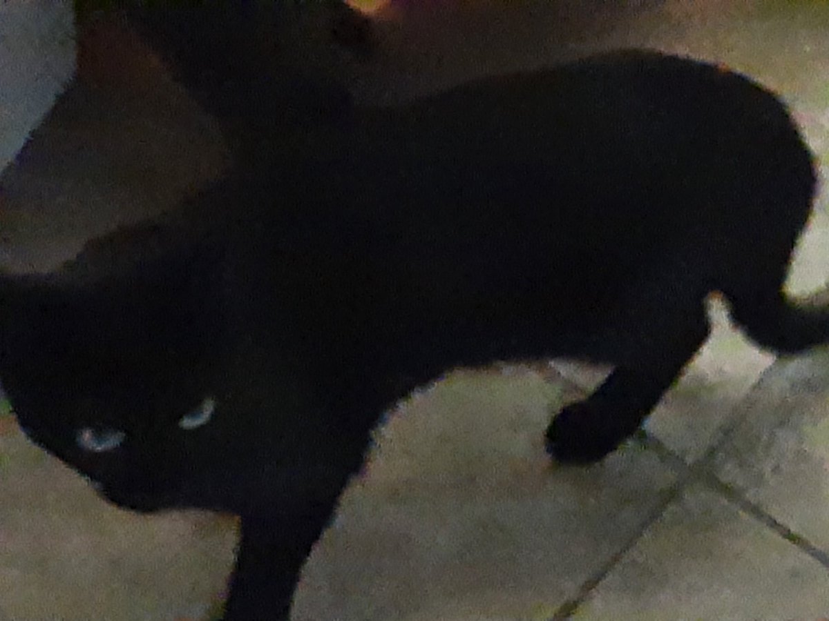 SoldiersTeez tweet media