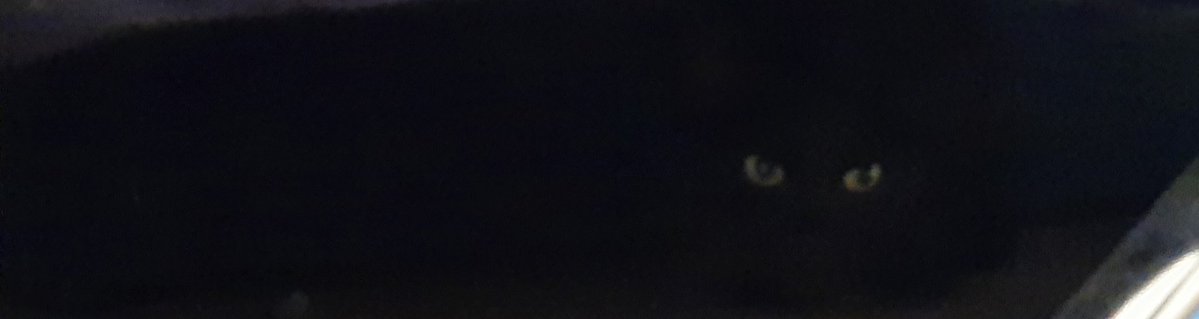 SoldiersTeez tweet media