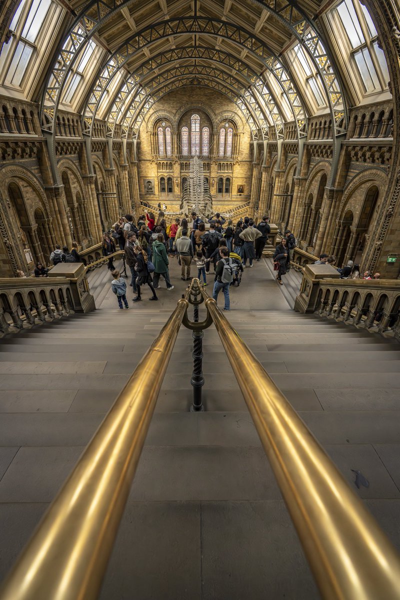 Jonny Gios tweet media