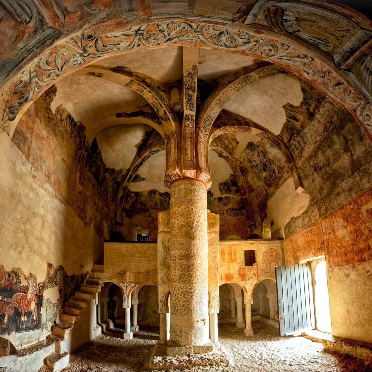 Campo Amarillo 🌾 tweet media