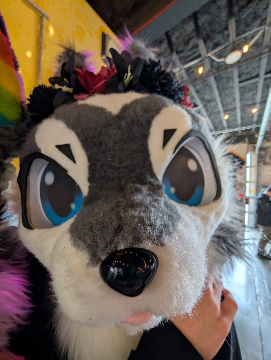 HugoPixelz? tweet media