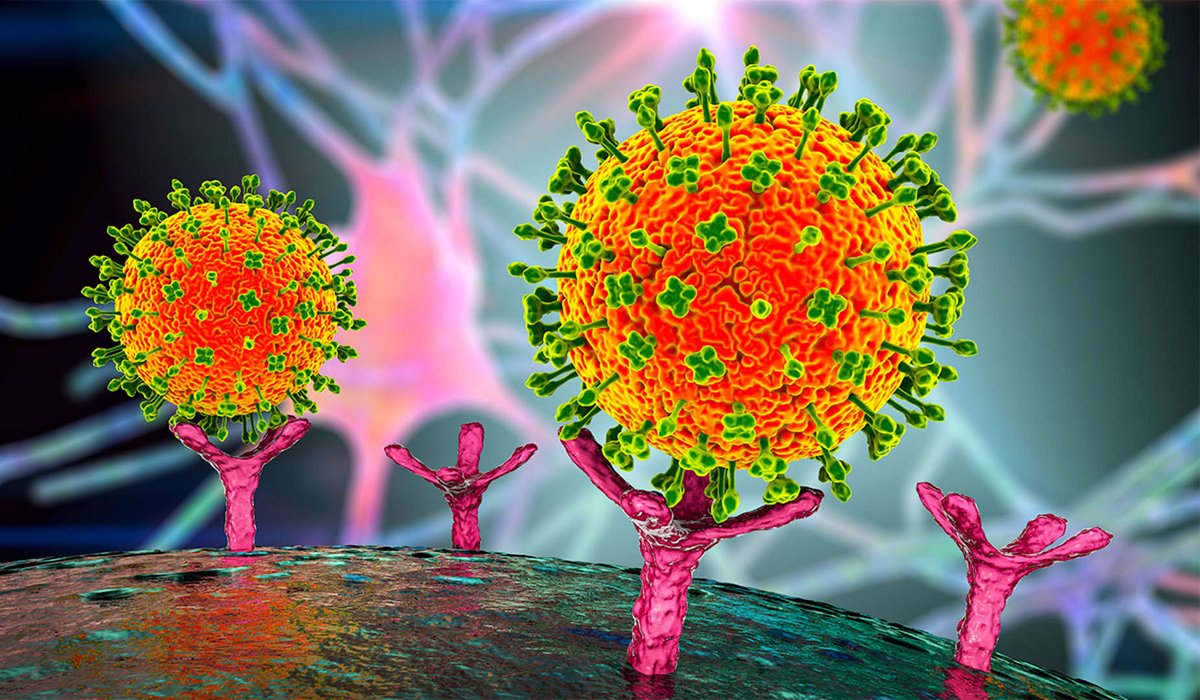 Tim Ferguson @1_TMF_ tweet media