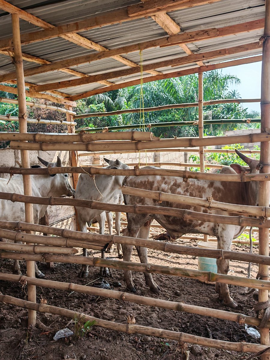 Palmstead And Pastures tweet media