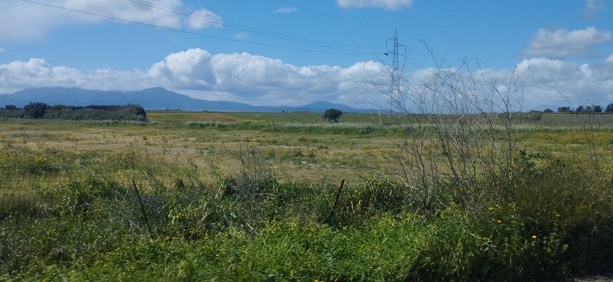 Based Corporal Taggart 🇮🇹 tweet media