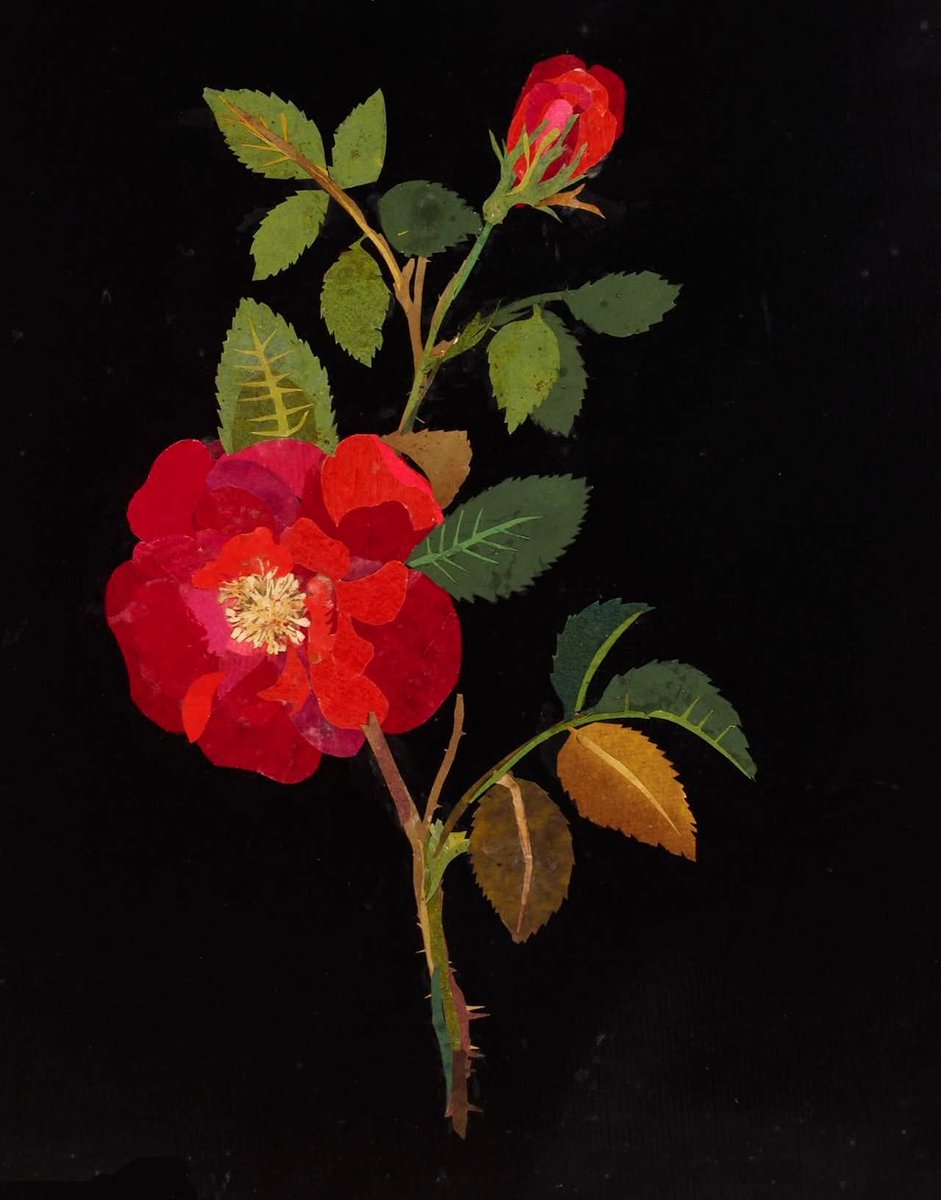 Olga Tuleninova 🦋 tweet media