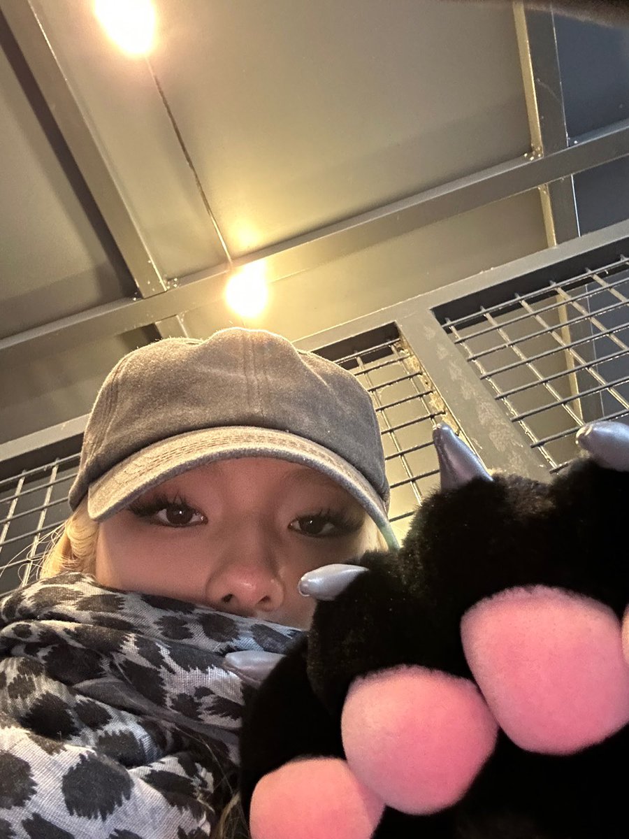 스텔라명언봇 tweet media