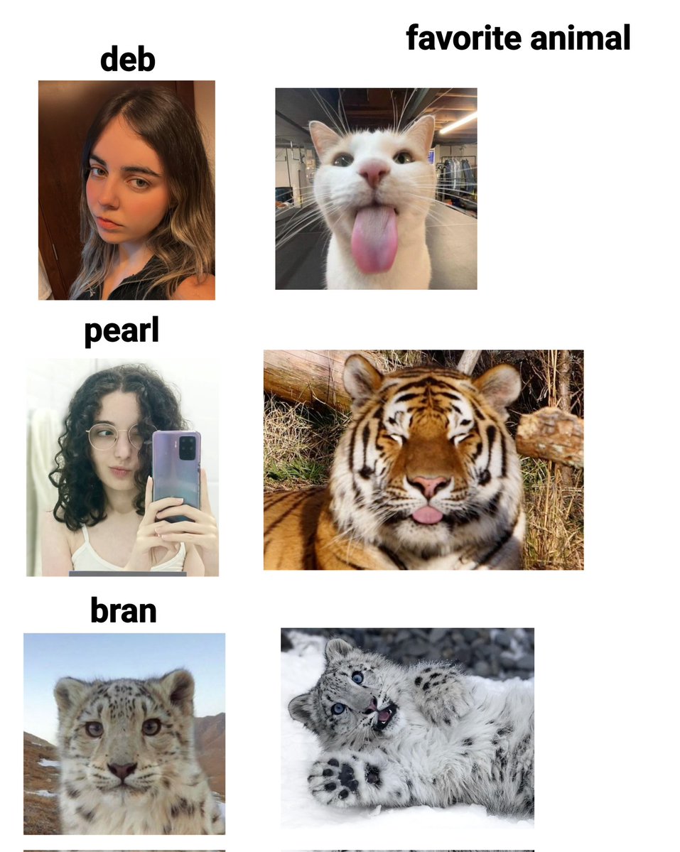 pearl ♡🐇 tweet media