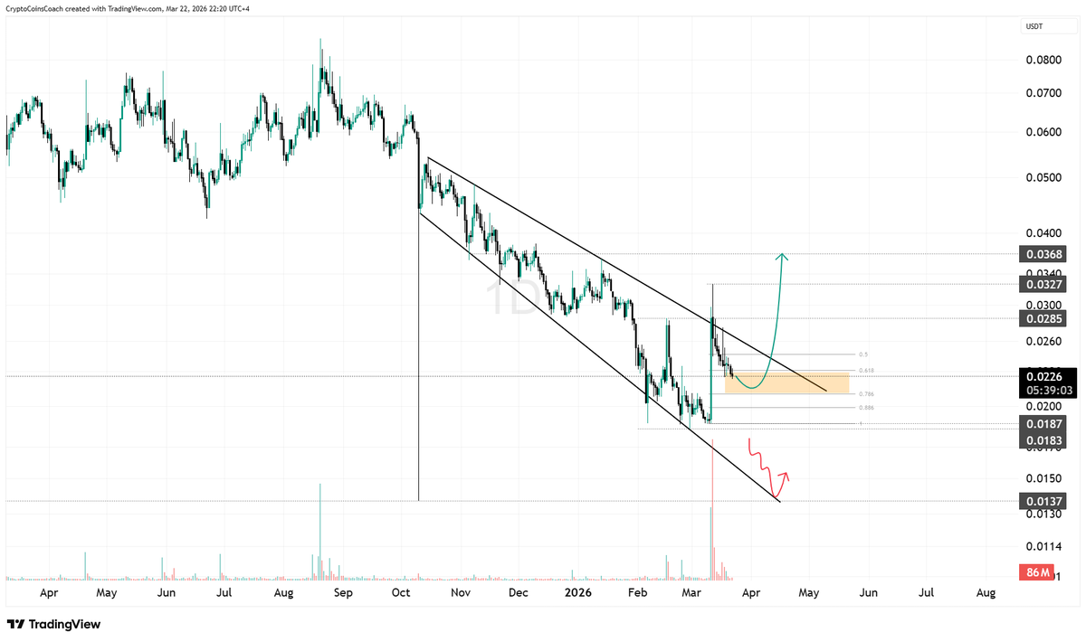 Crypto Coins Coach tweet media