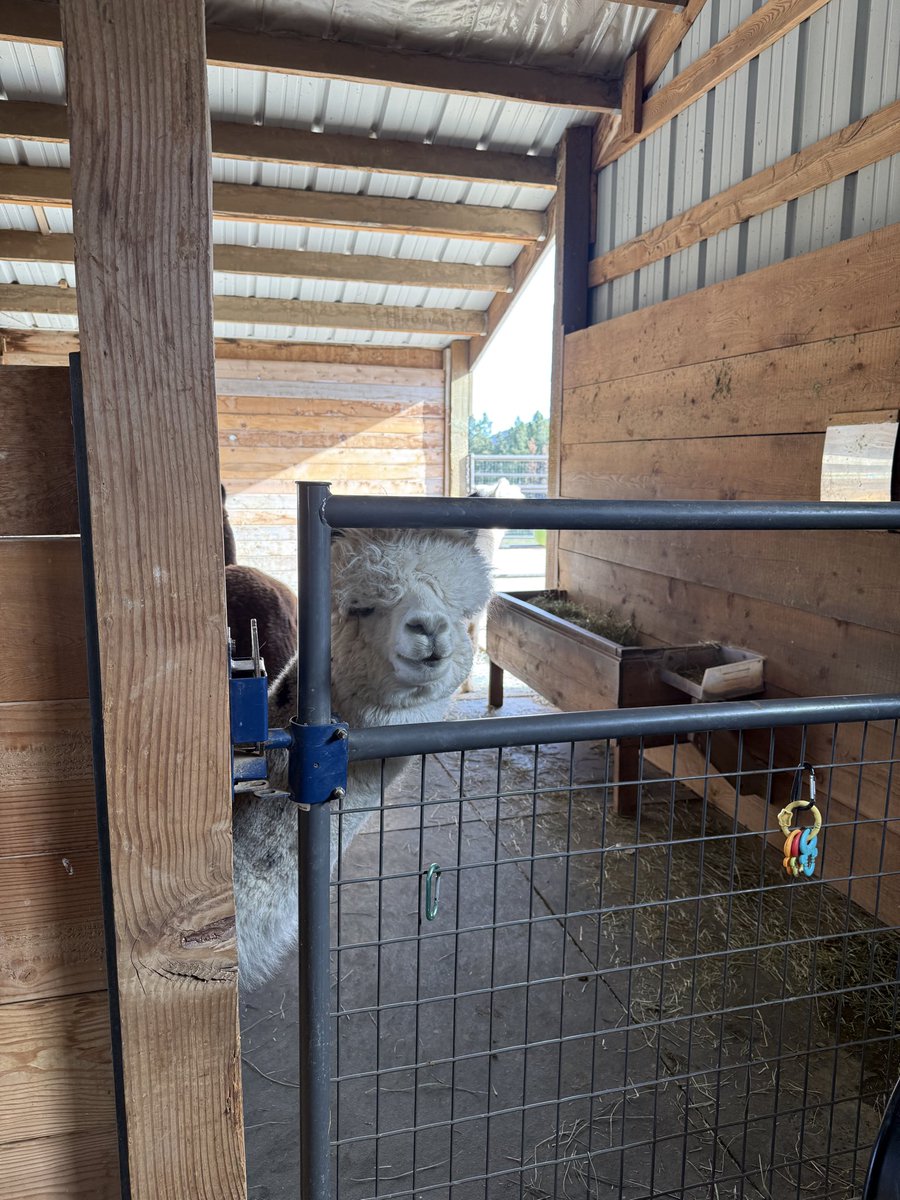 Digital Health Cowboy tweet media