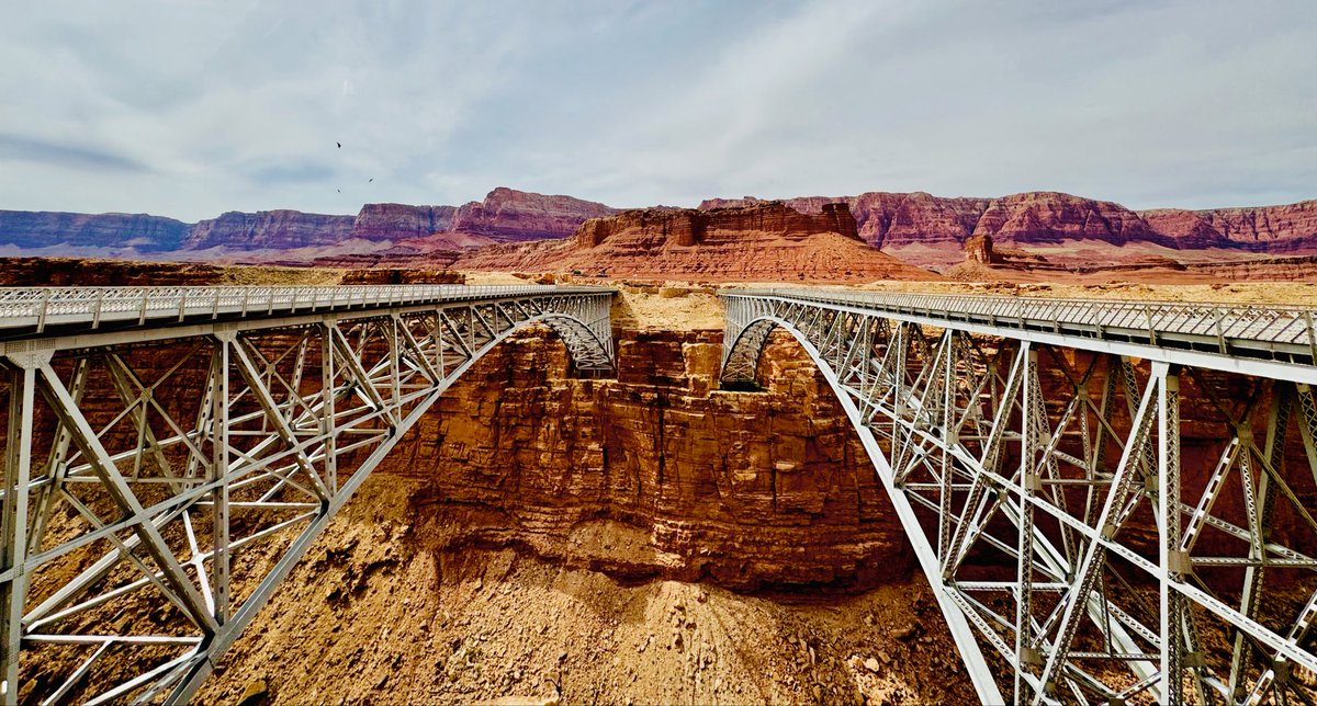 D Miller tweet media