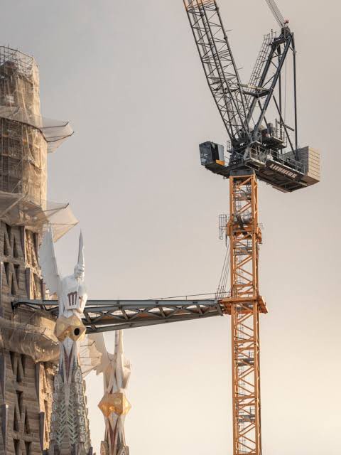 Tex Software tweet media