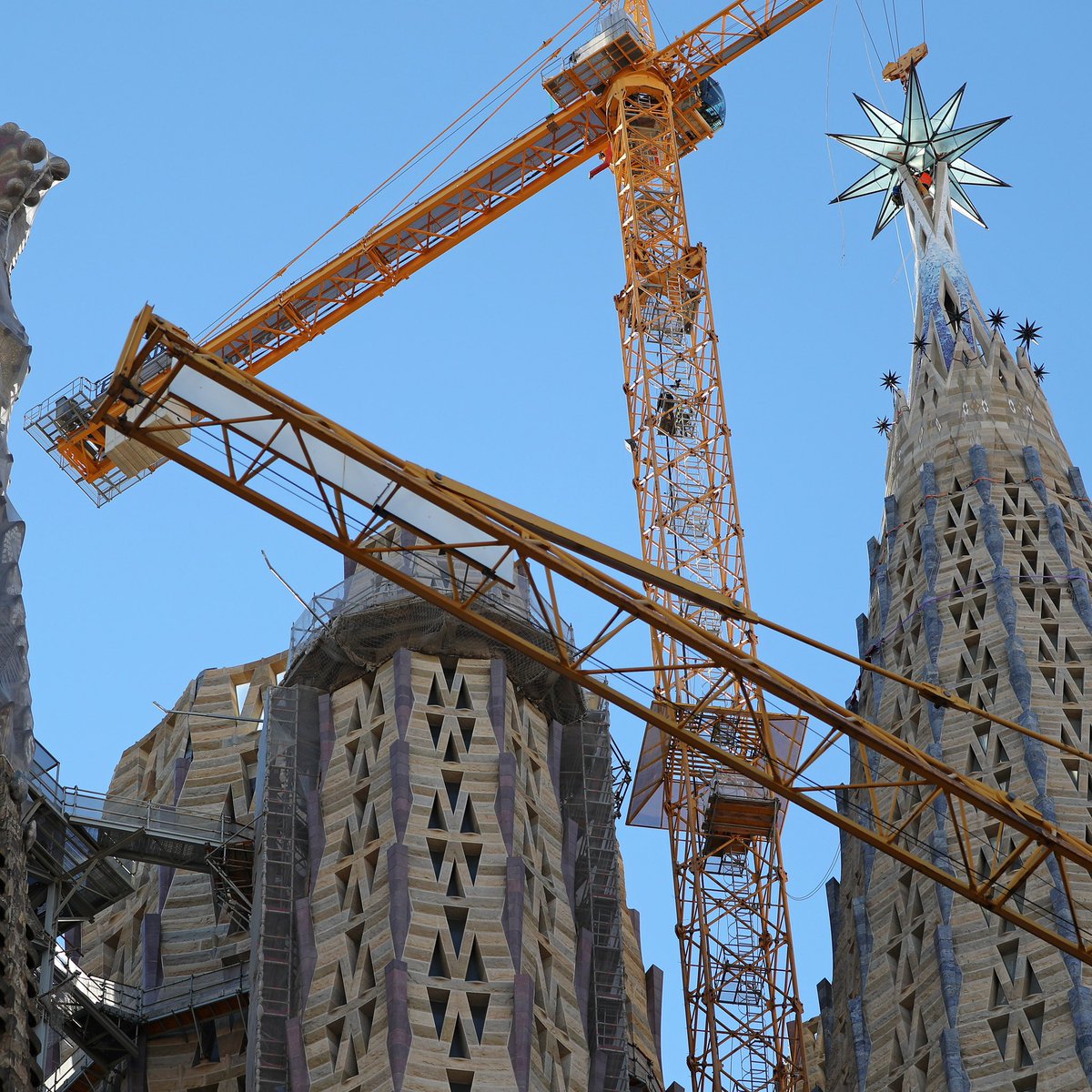 Tex Software tweet media