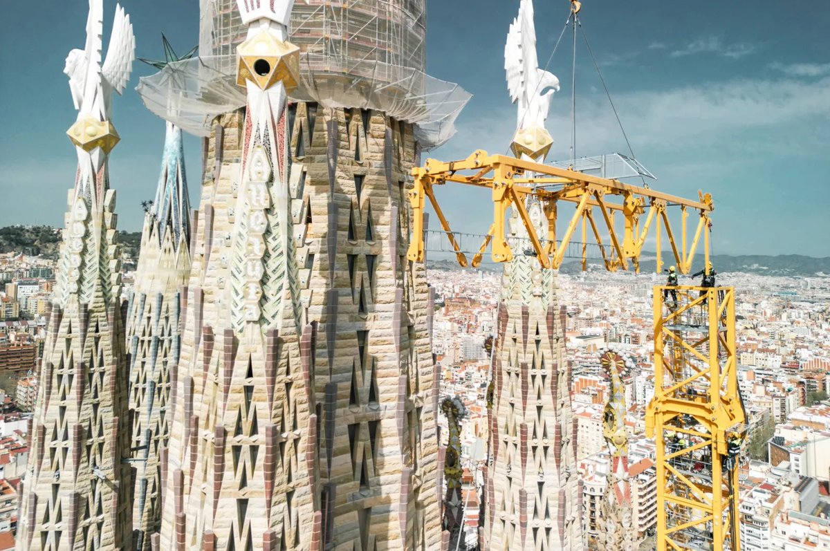 Tex Software tweet media