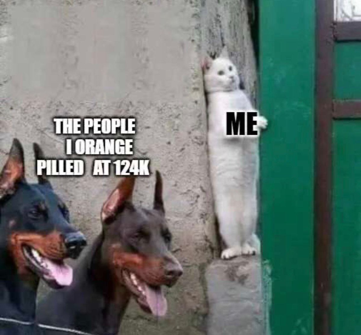 Bittr 🐷💰 tweet media