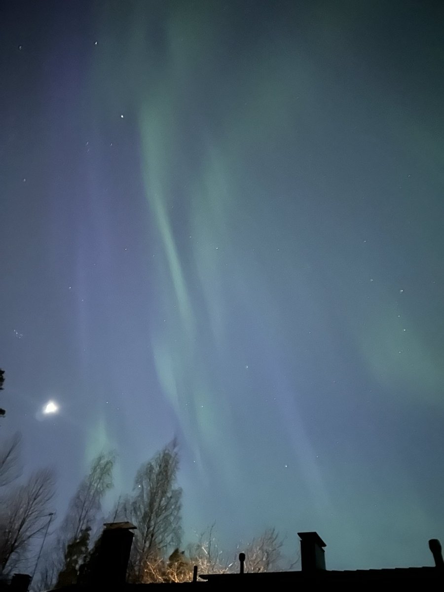 finngate フィンランドの旅行会社 tweet media