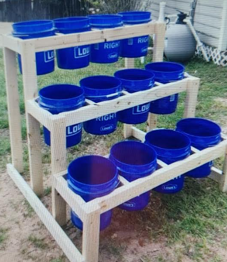 Nemo(Snow Mexican) tweet media