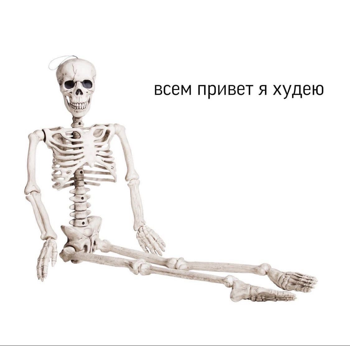 дочь вульфстаров ⋆.˚ ☾ .⭒˚ tweet media