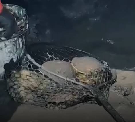 Lucía Hernández | Amo La Ciencia tweet media