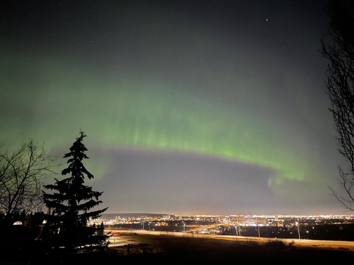 Grant Strem PPC Candidate tweet media