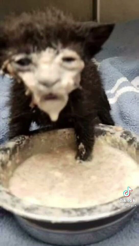 ★ | CRACK CODE tweet media