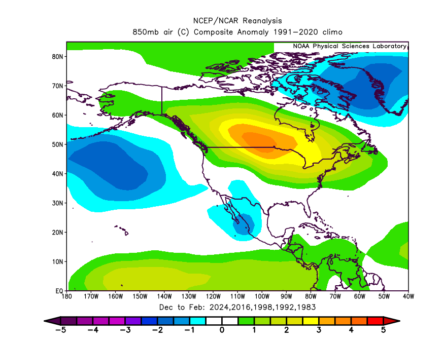 Ethan Sacoransky tweet media