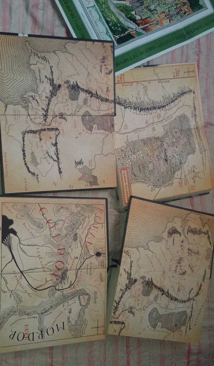 gabi carello ᶜʳᶠ tweet media