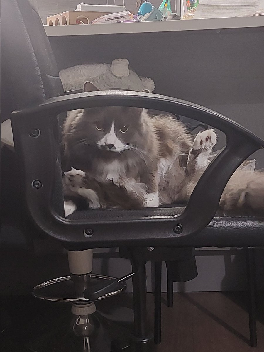 show off those beans!