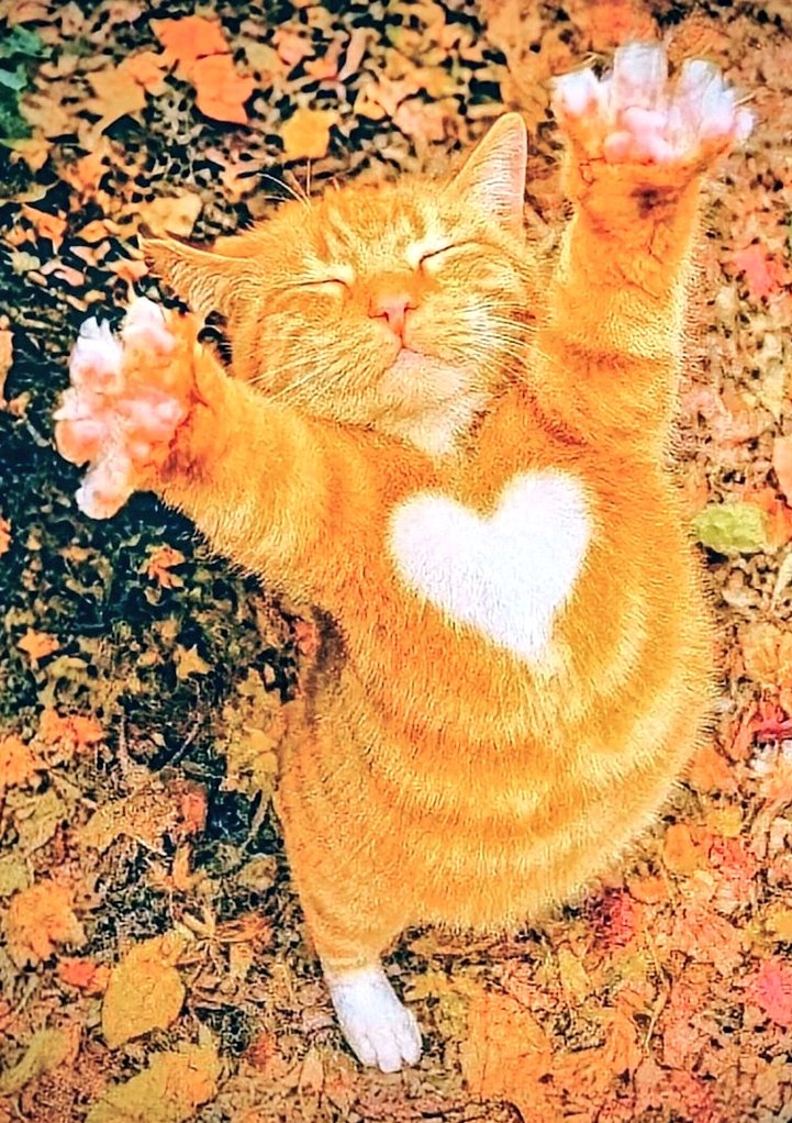 Eye AM👁️Ⓜ️ tweet media