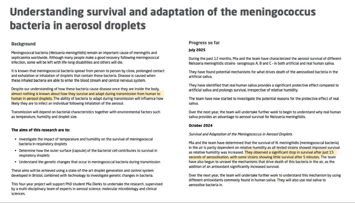 Cat in the Hat 🐈‍⬛ 🎩 🇬🇧 tweet media