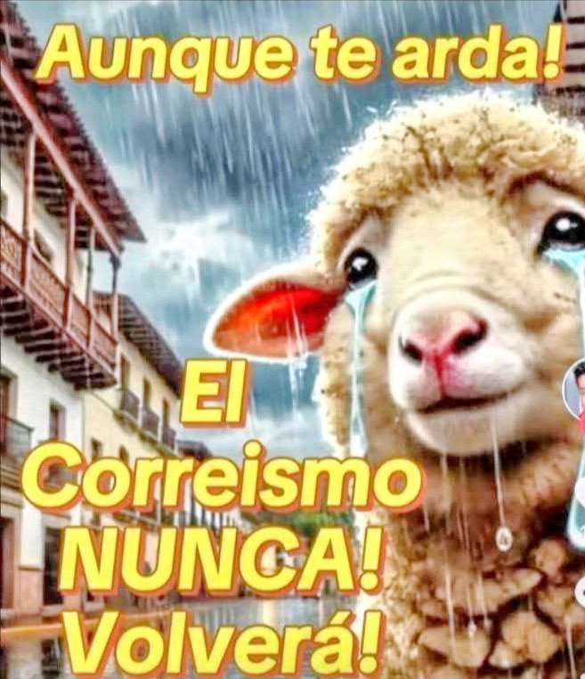 Byron Marcelo Luzuriaga Cisneros tweet media