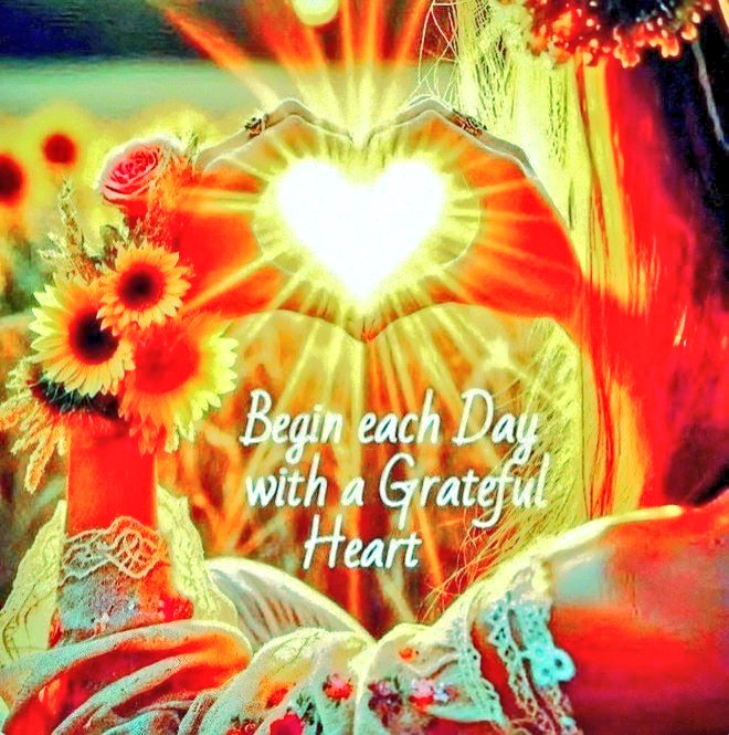 Eye AM👁️Ⓜ️ tweet media