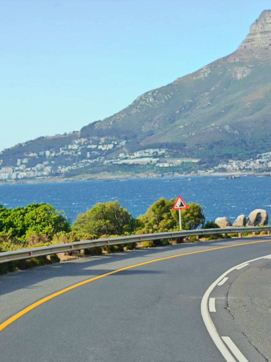 Laura Abitia tweet media