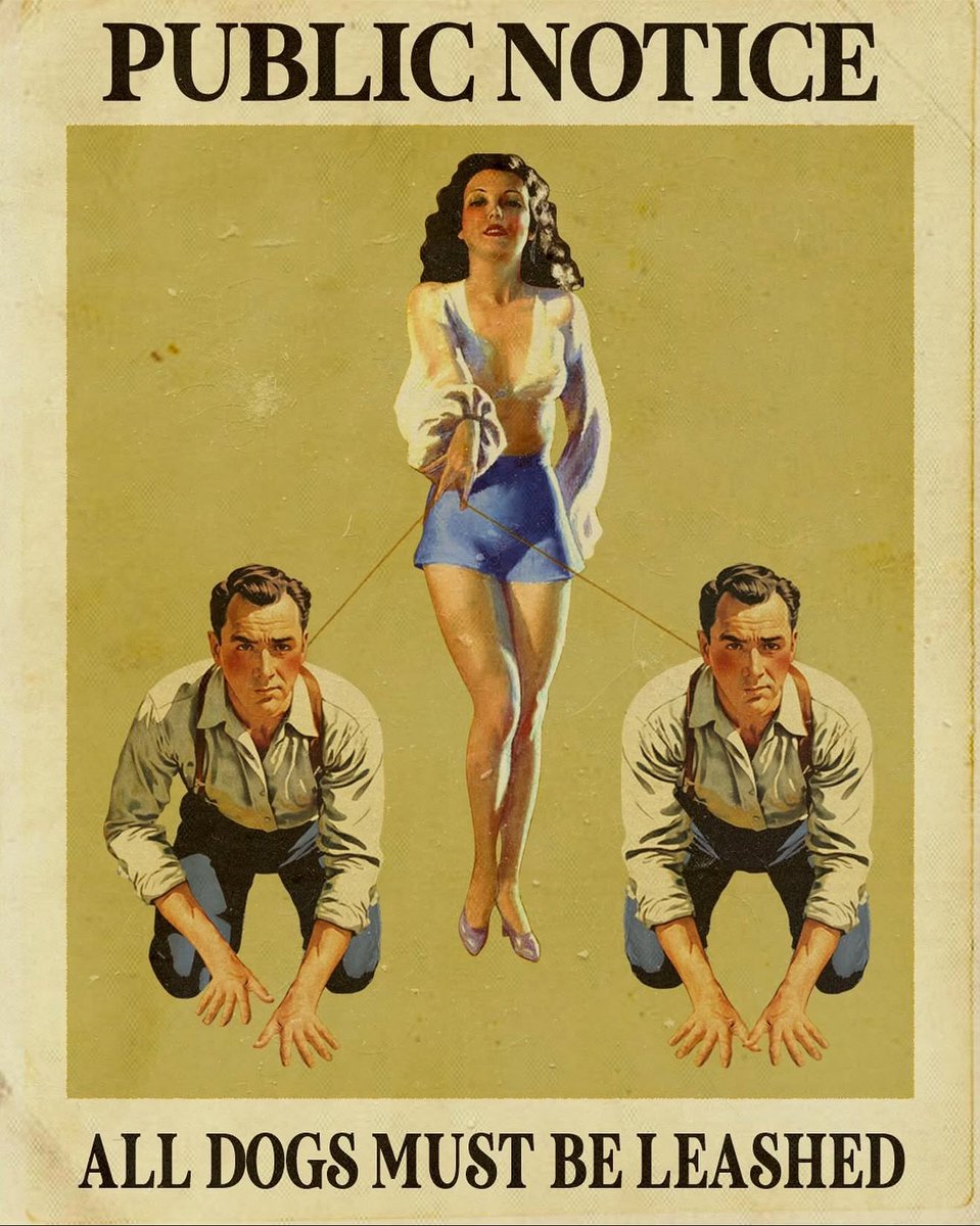 Boy Fantasy tweet media