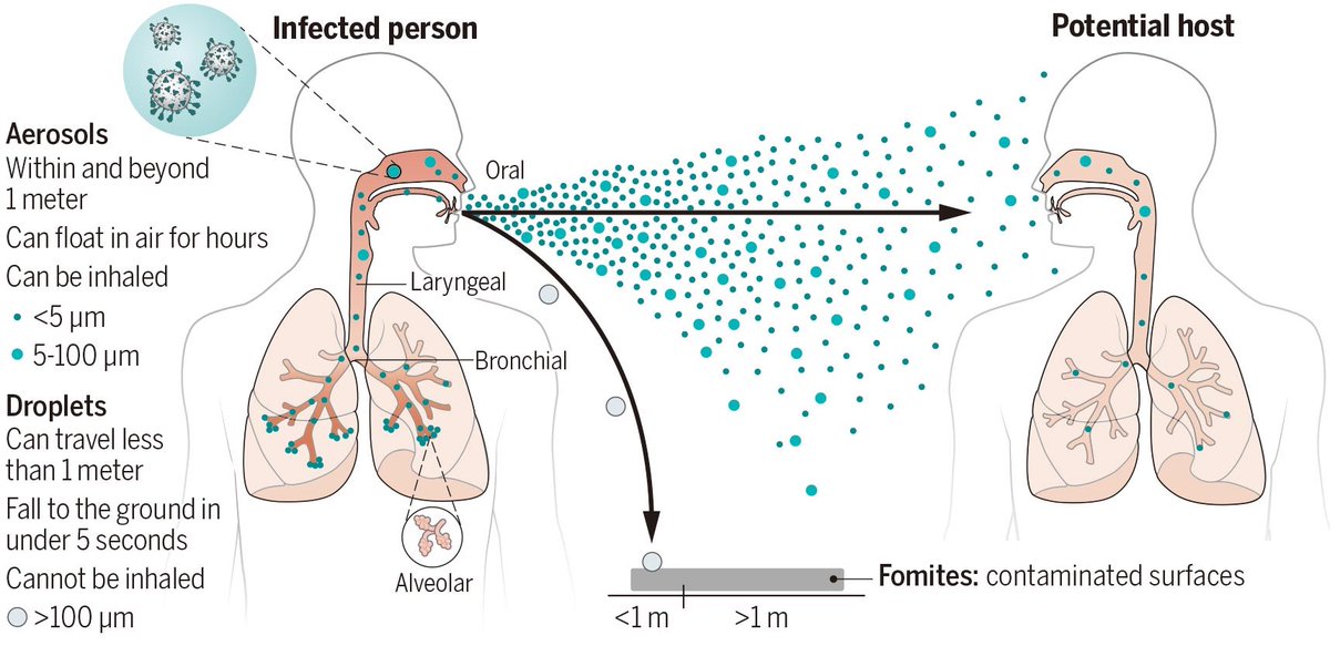 Cat in the Hat 🐈‍⬛ 🎩 🇬🇧 tweet media