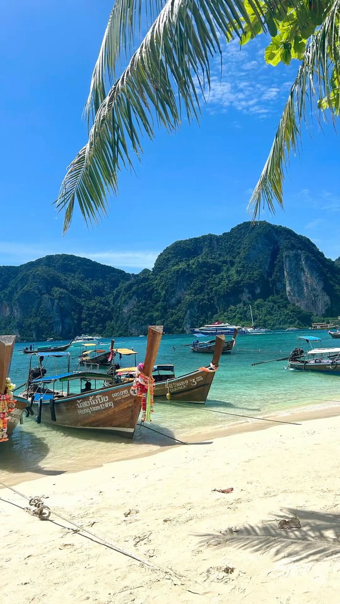 Travel Diaries tweet media