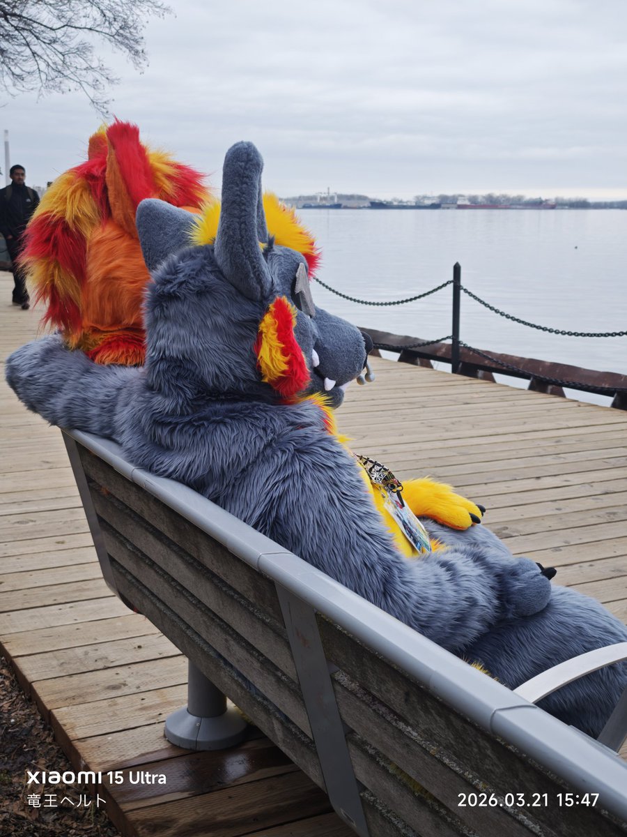 竜王ヘルト tweet media