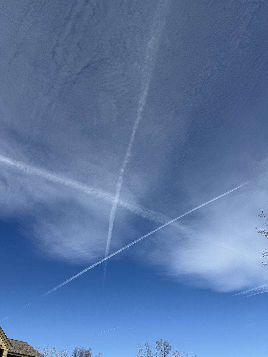 Scott Johnston tweet media