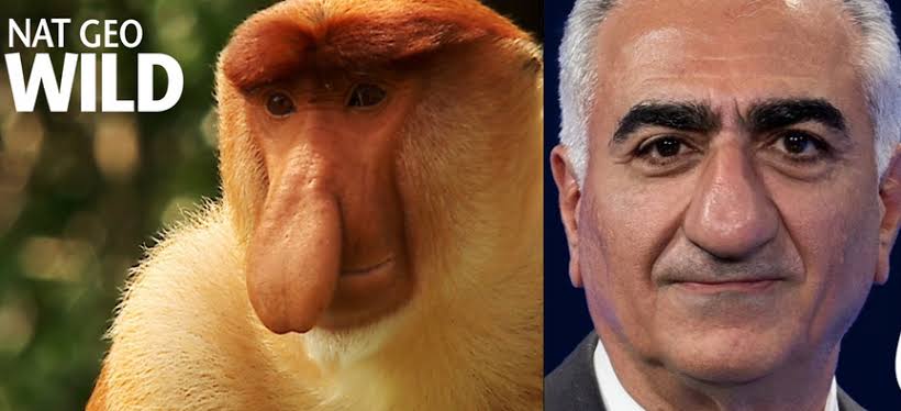 Global Lens tweet media