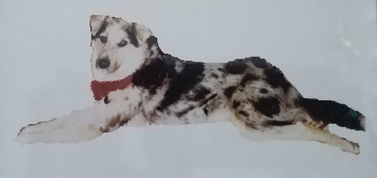 GatorGirl675122's tweet image. Memories ... #Buck