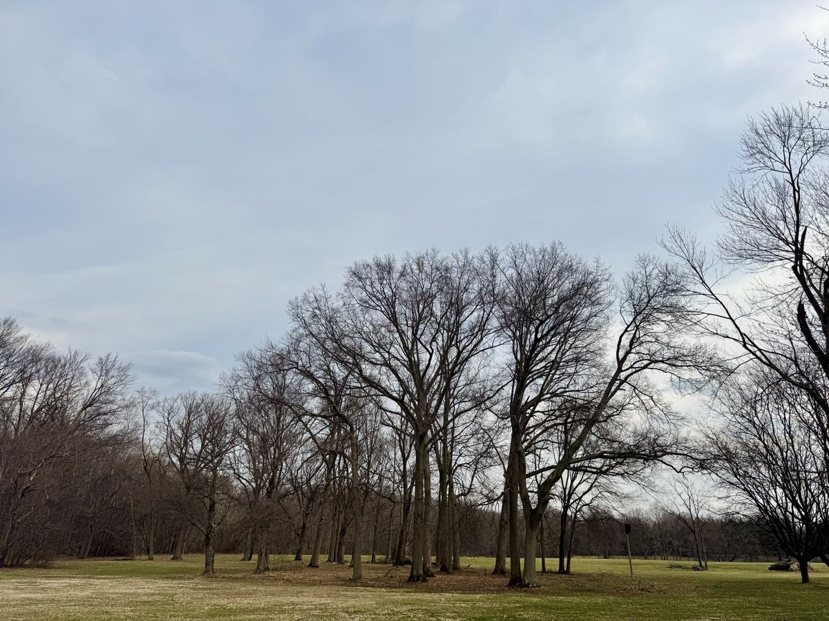 Jeremiah tweet media